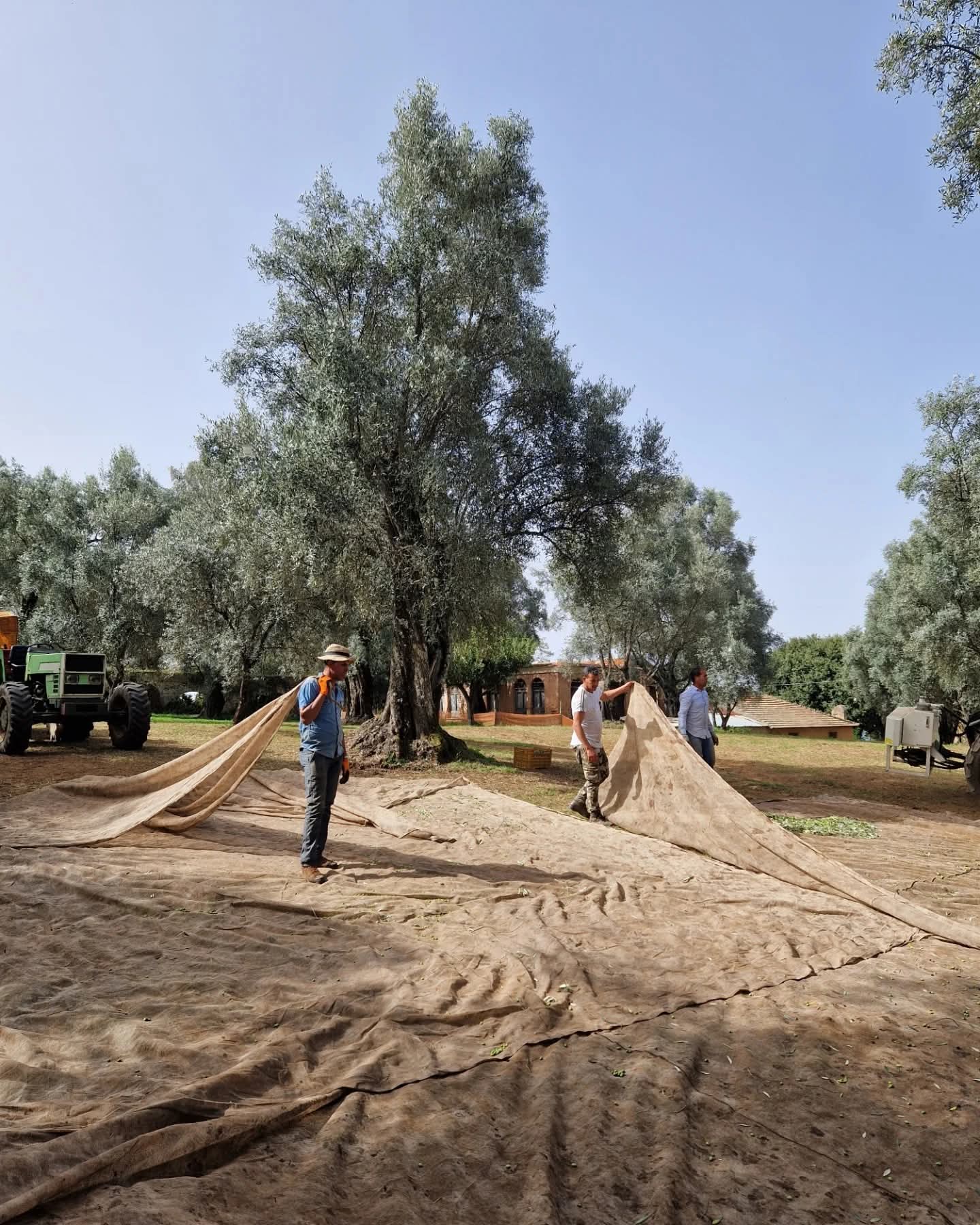 Azienda Agricola Francesca de Leo Alberti