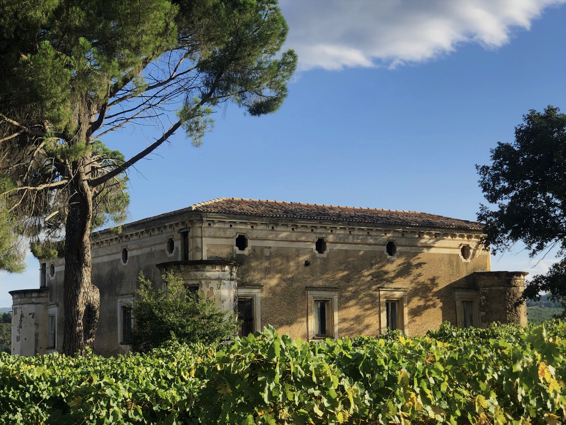 Agriturismo Casa Pacelli