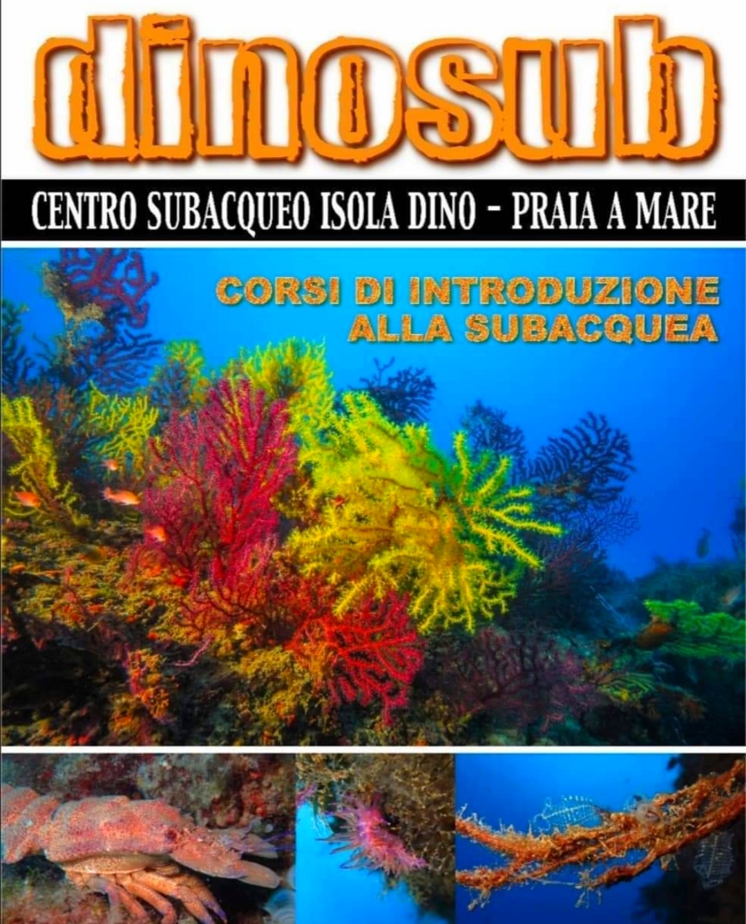 DINOSUB CENTRO SUBACQUEO ISOLA DINO