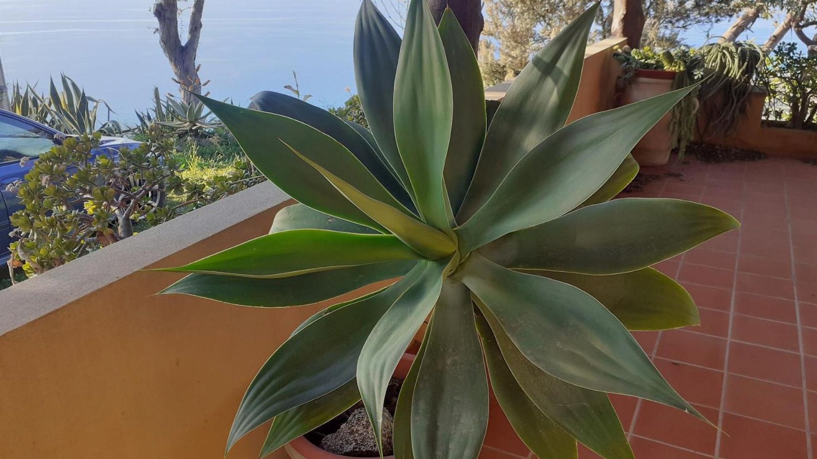APPARTAMENTO CON GIARDINO PANORAMA MARE MOZZAFIATO