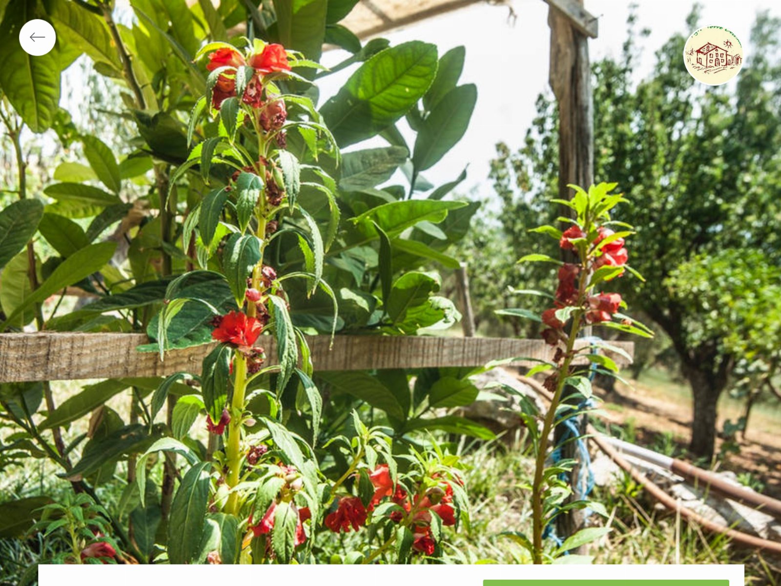 Agriturismo Miracco Atanasio Franco "Il Maniero"