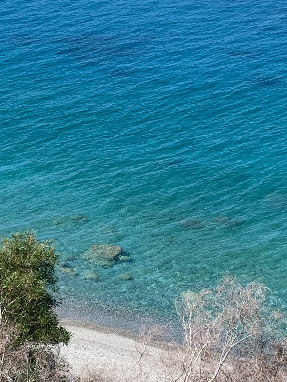 Il Girasole