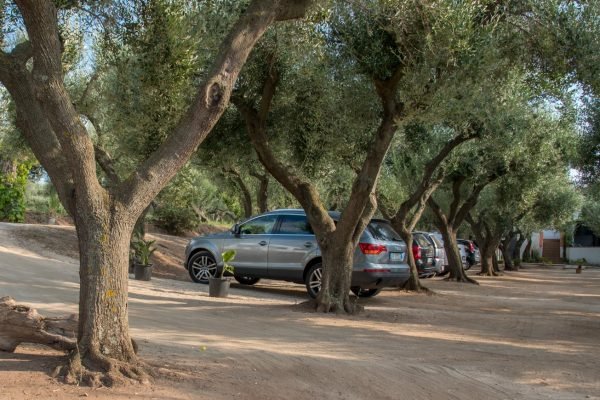 Camera Matrimoniale in B&B con spiaggia privata. Sunset Yoga.
