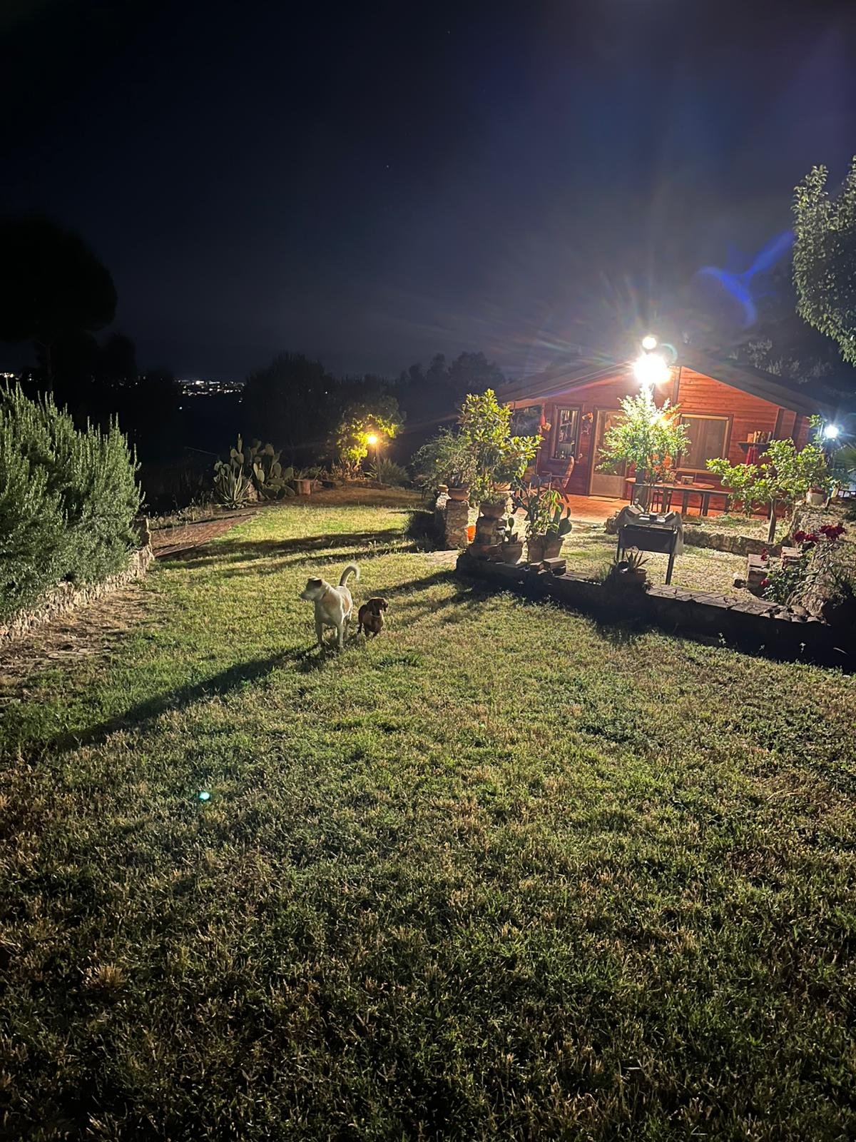 Villa con podere in collina a Siderno Superiore, tra mare, natura e relax