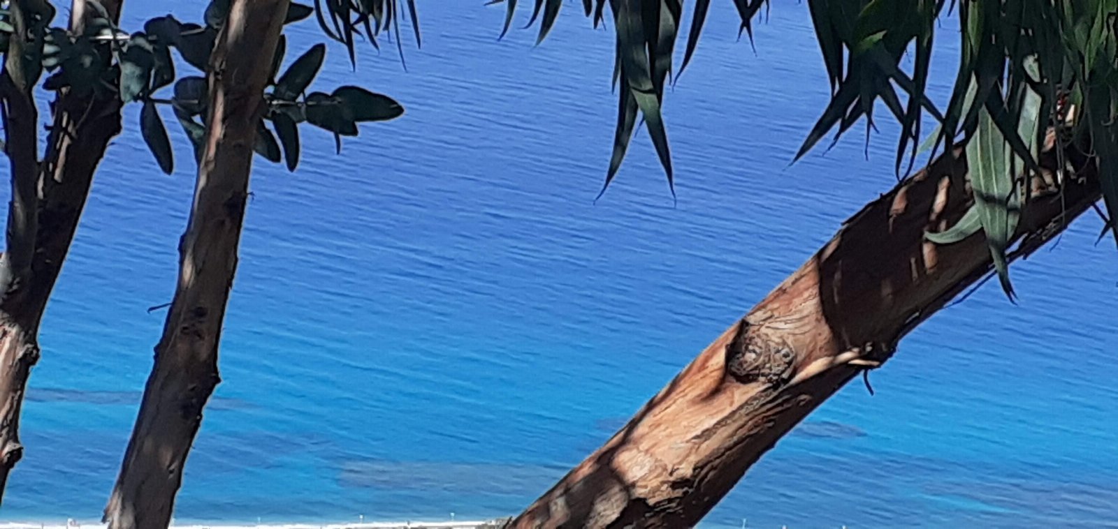 APPARTAMENTO CON GIARDINO PANORAMA MARE MOZZAFIATO