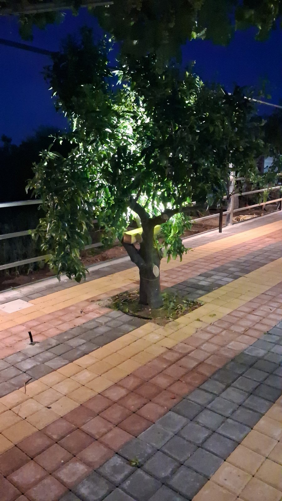 Villa Fontana Apartament