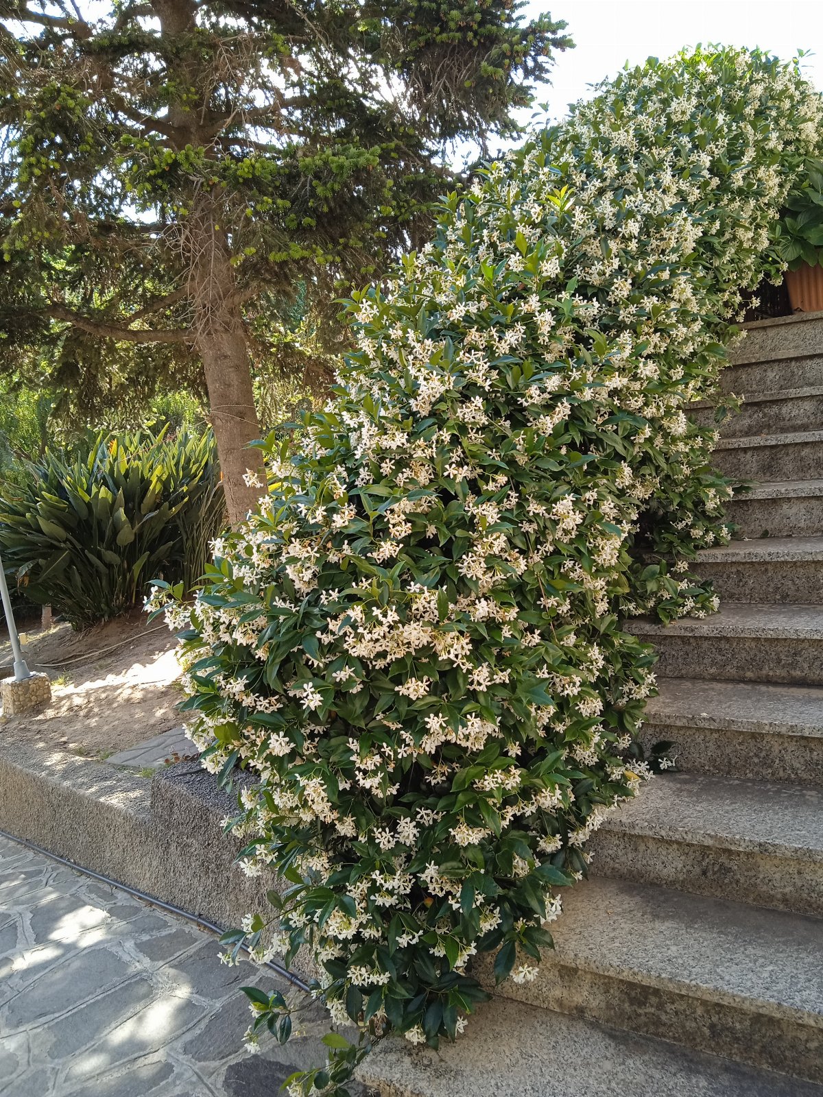 Villa Francesca Soverato