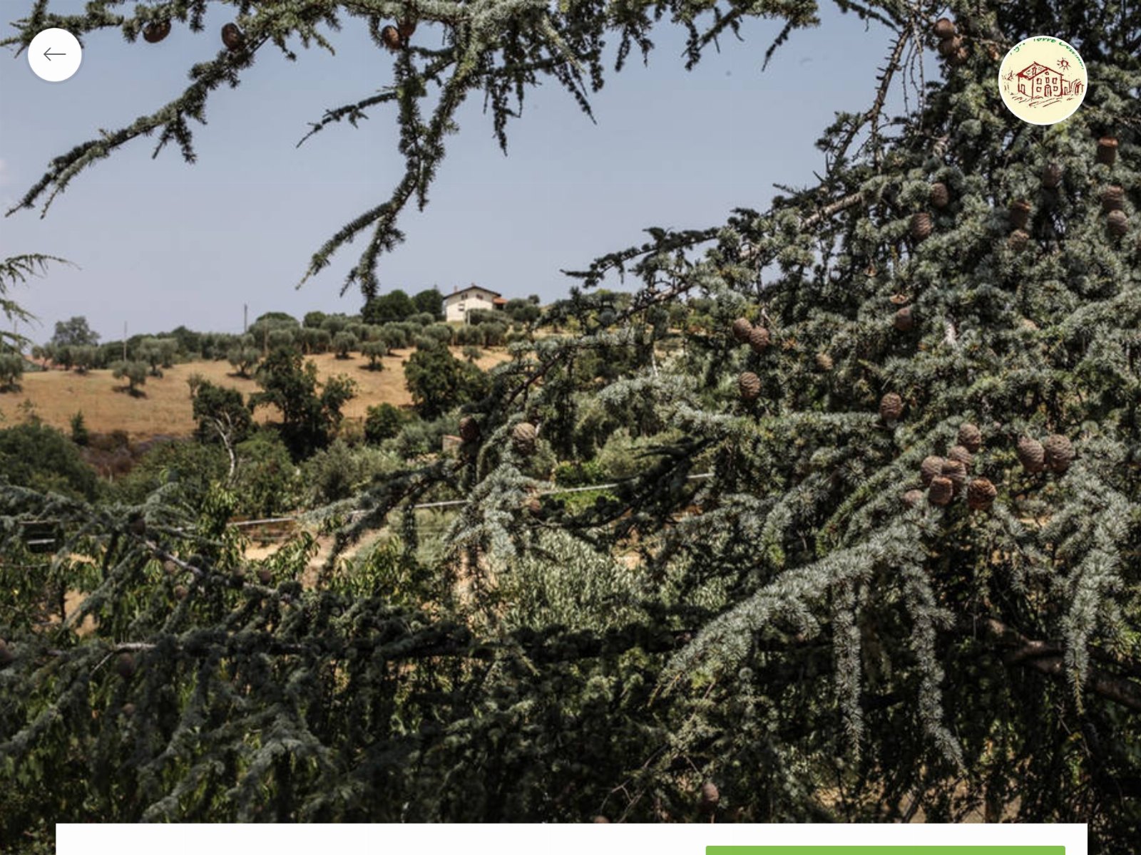 Agriturismo Miracco Atanasio Franco "Il Maniero"