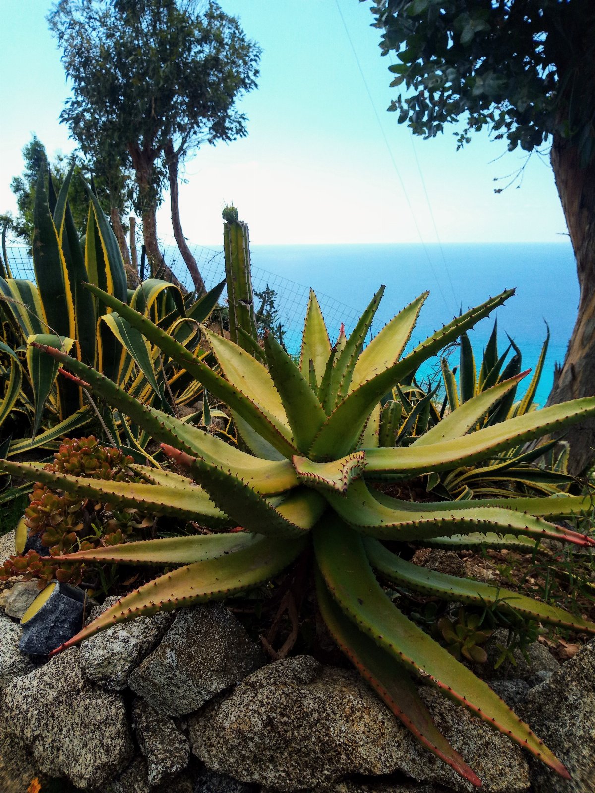 APPARTAMENTO CON GIARDINO PANORAMA MARE MOZZAFIATO