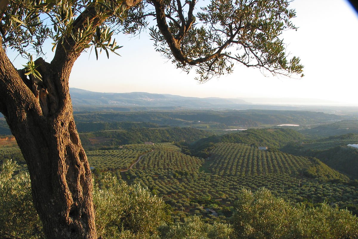 Agriturismo Le Carolee