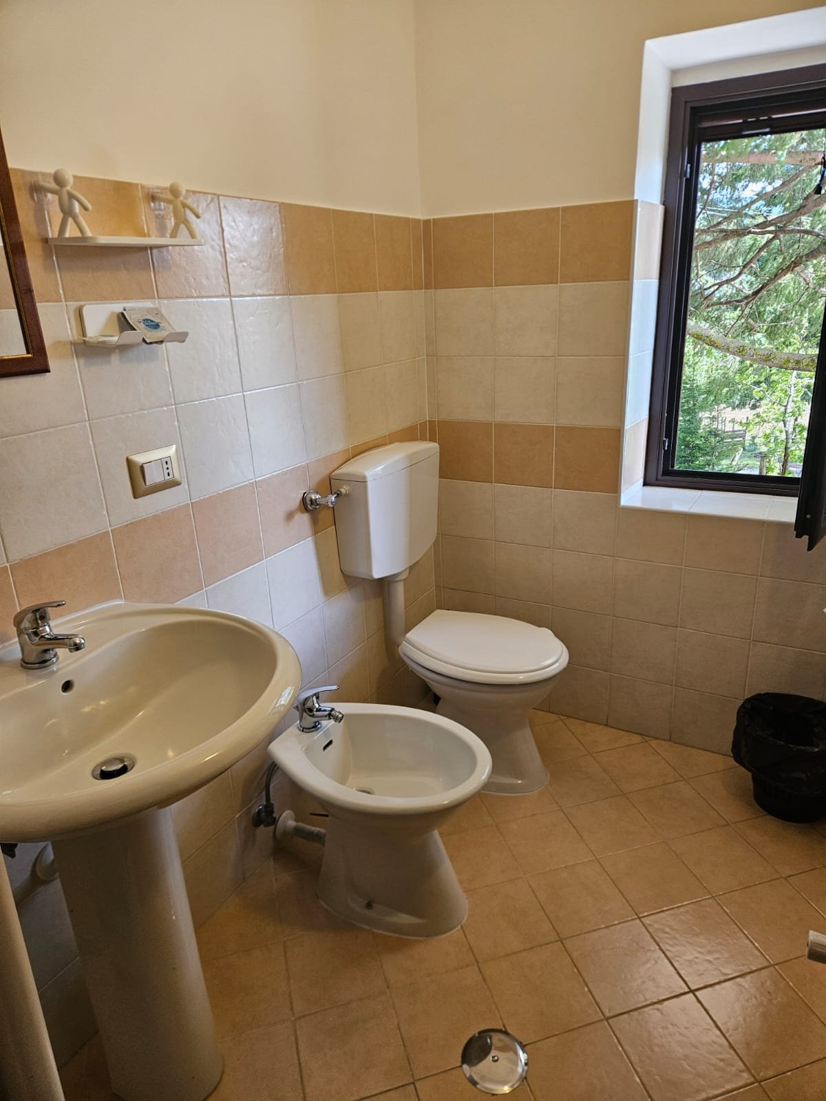 B&b la corte dei pini
