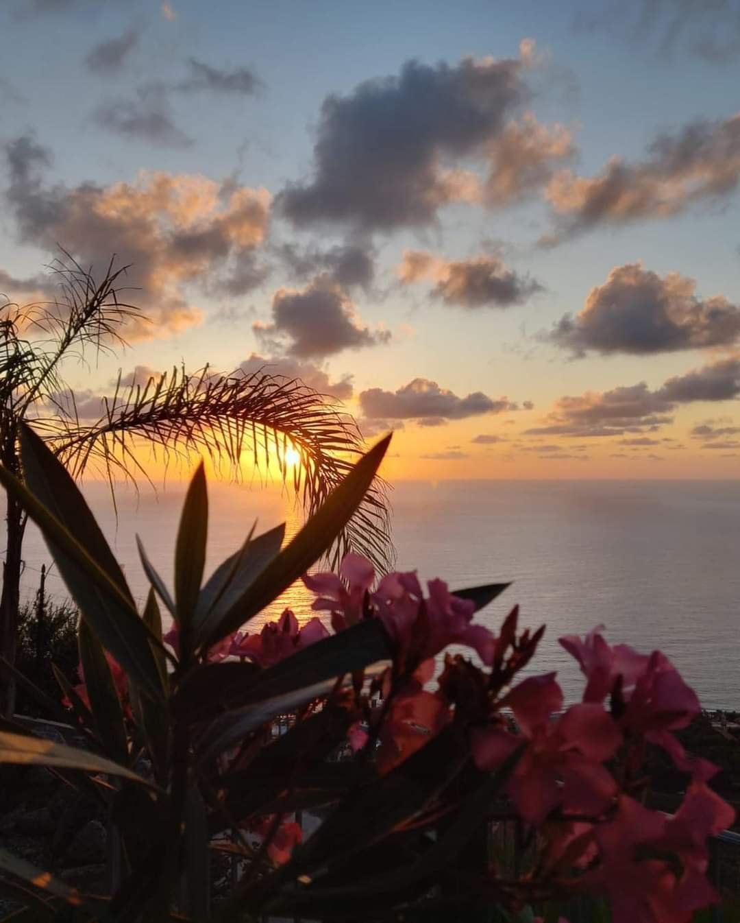 APPARTAMENTO CON GIARDINO PANORAMA MARE MOZZAFIATO