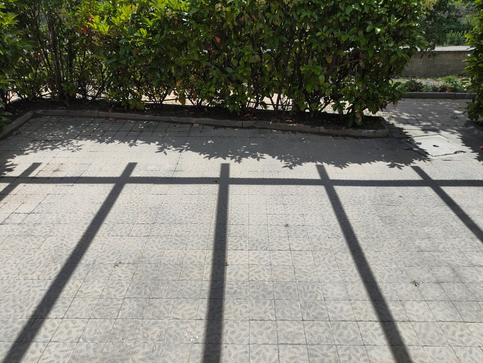 B&B Residence L' Ancora T8