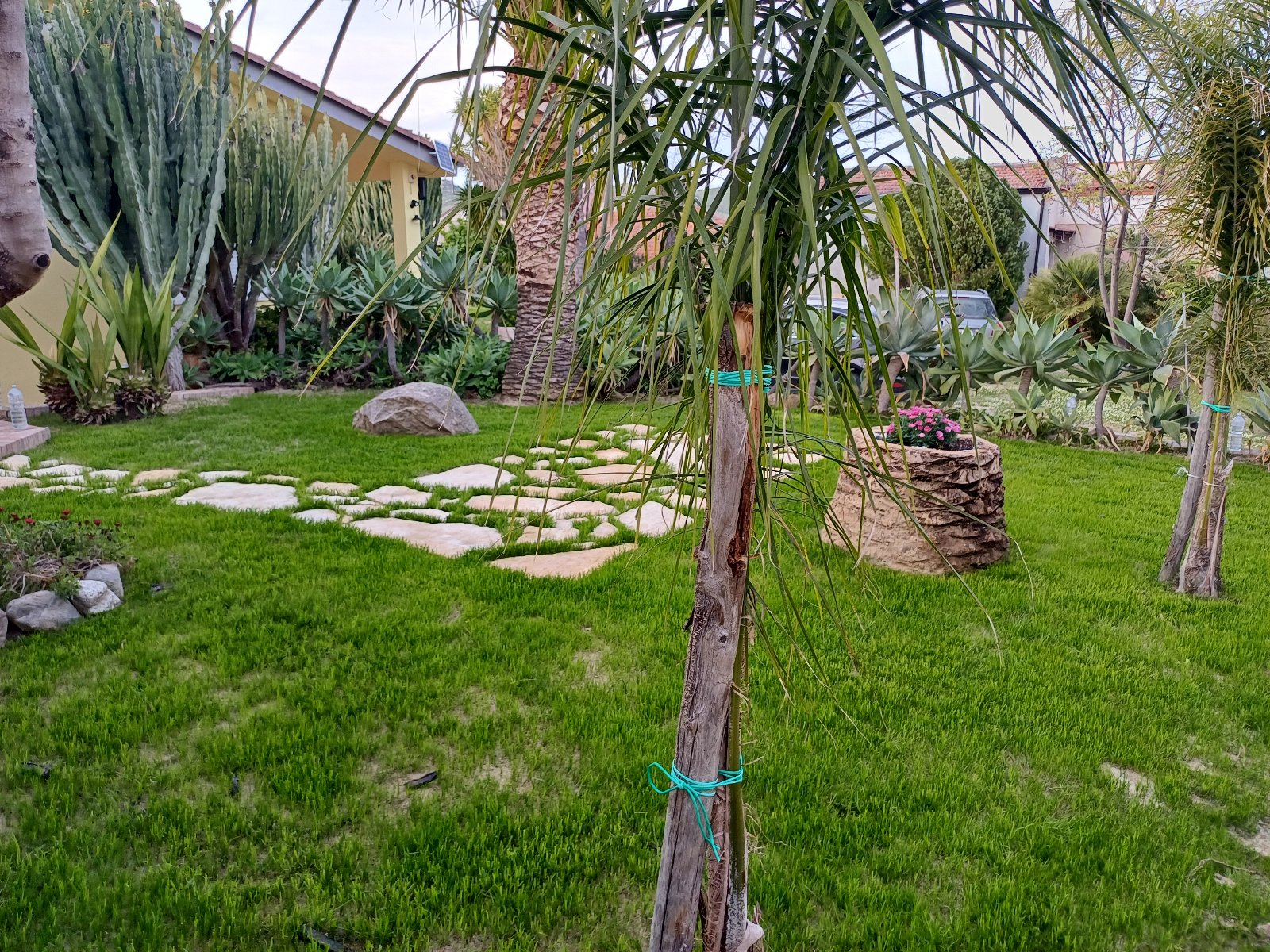 Villa interamente circondata dal giardino