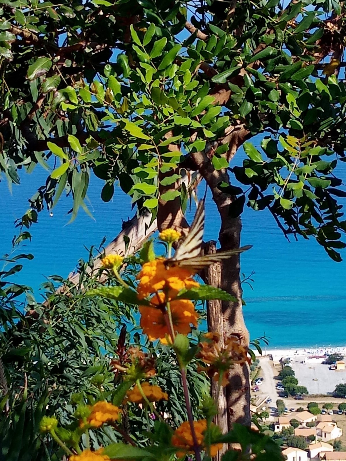 APPARTAMENTO CON GIARDINO PANORAMA MARE MOZZAFIATO