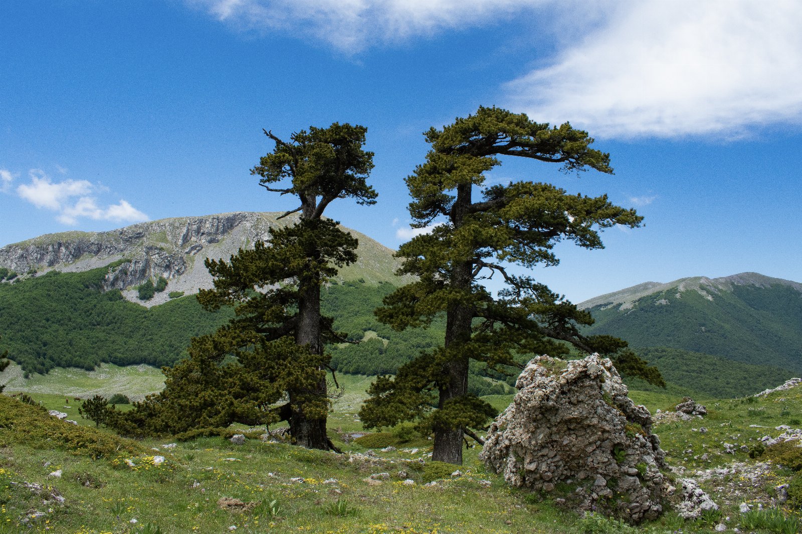 Chalet de montagne avec spa