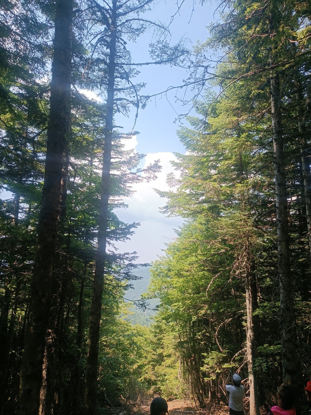 Pungitopo, un chaleureux appartement à la montagne
