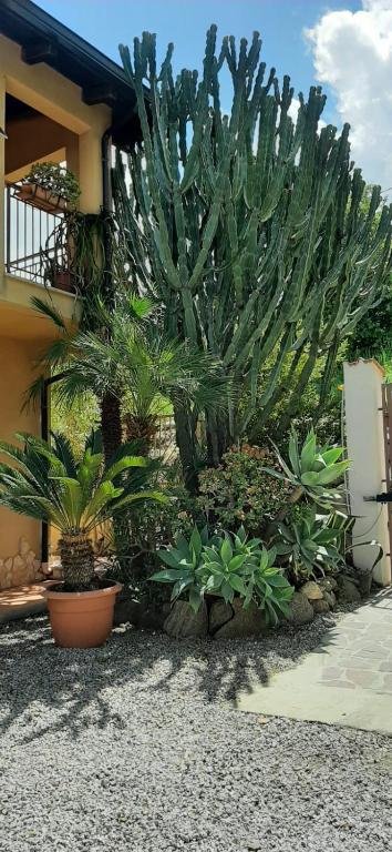 APPARTAMENTO CON GIARDINO PANORAMA MARE MOZZAFIATO