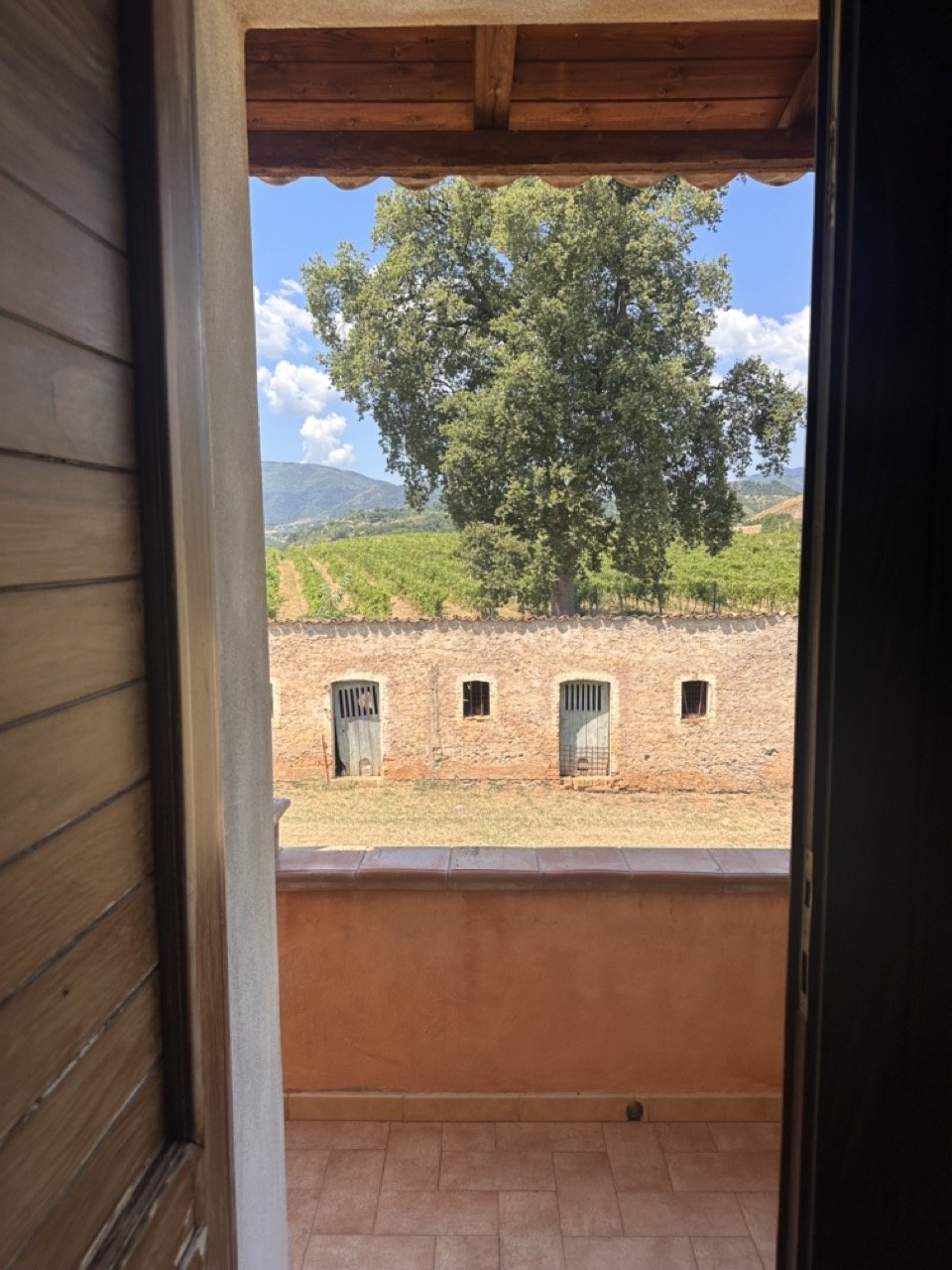 Agriturismo Casa Pacelli