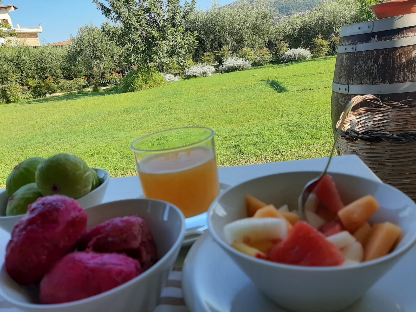 Agriturismo Frantoio Mafrica