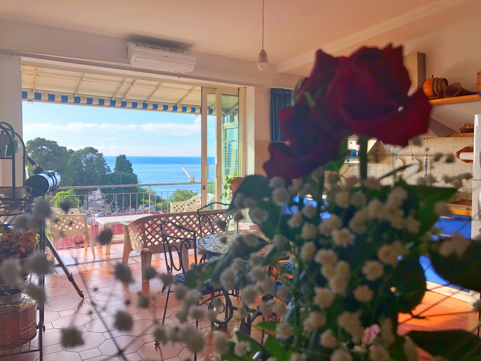 Clementine - Stars Home Tropea