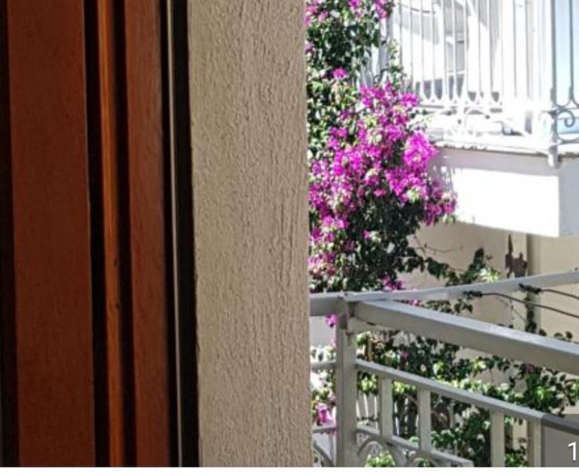 Una finestra sul glicine