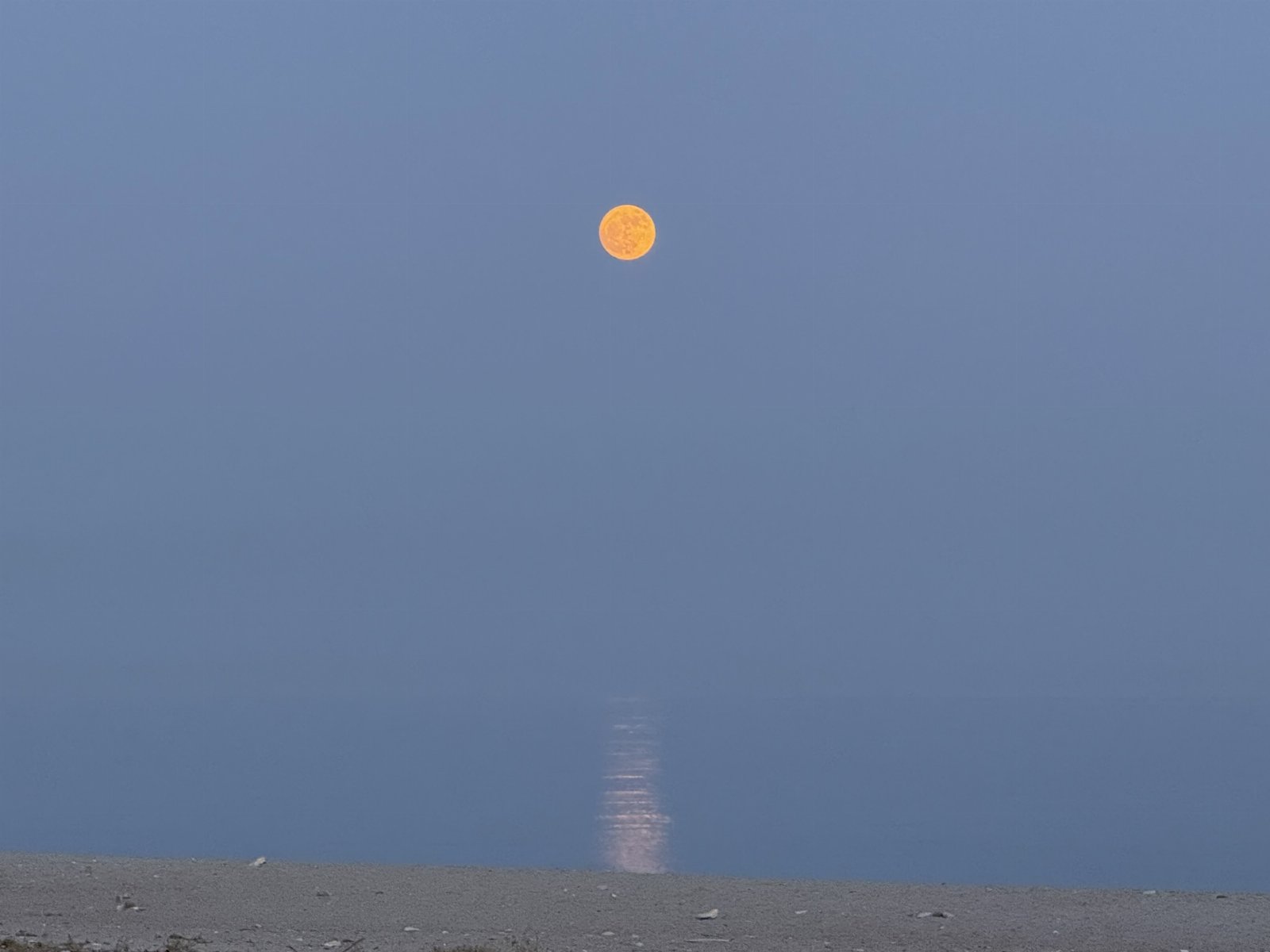 SanLorenzoBeach: FronteMare, Veranda 4 Posti Letto