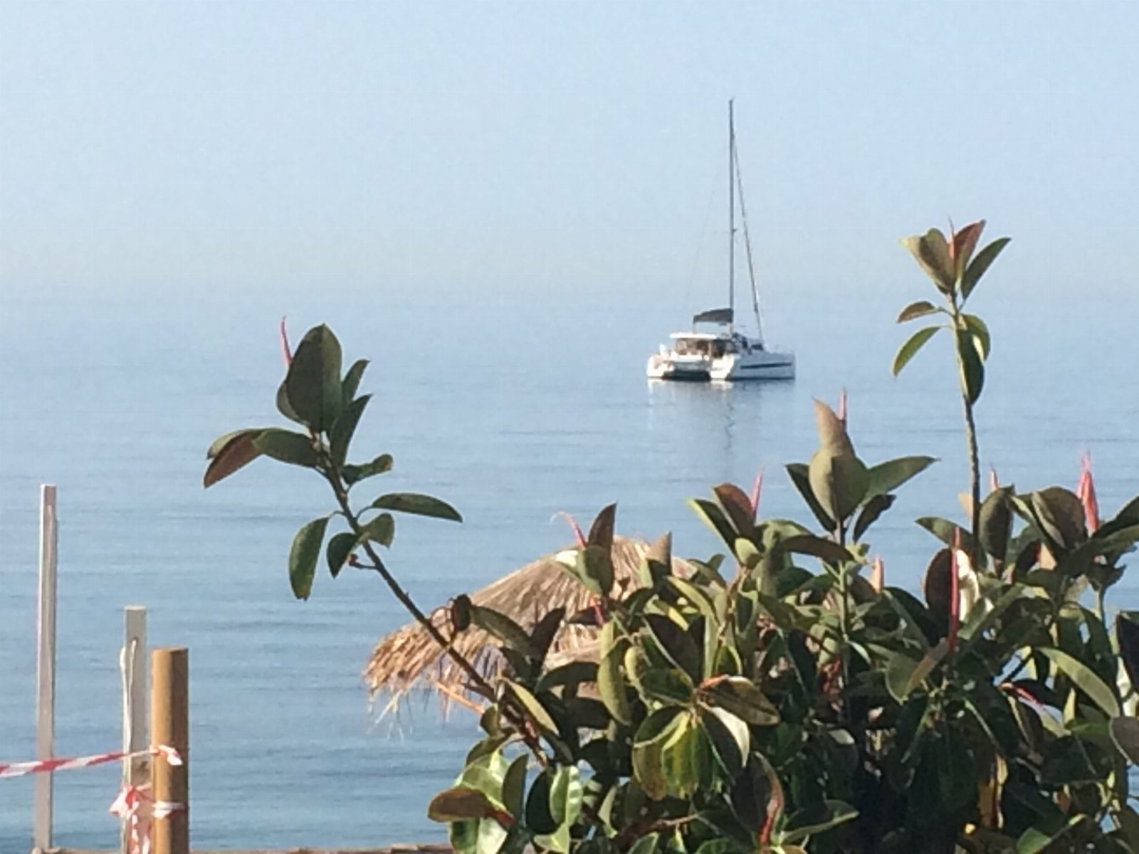 Il Girasole