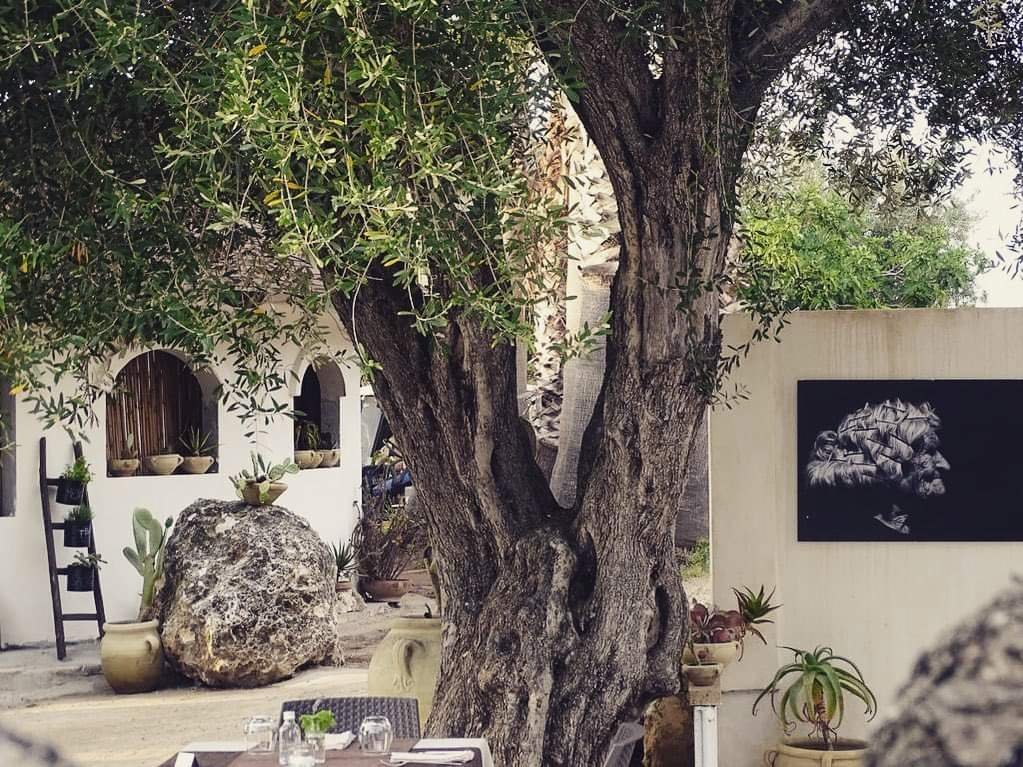 Appartamento Bilocale 2 posti con cucina e vista mare. Spiaggia privata. Sunset Yoga.