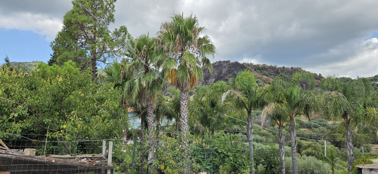 B&B dieci minuti dal mare bandiera blu in collina il mare quando vuoi la pace quando ne hai bisogno