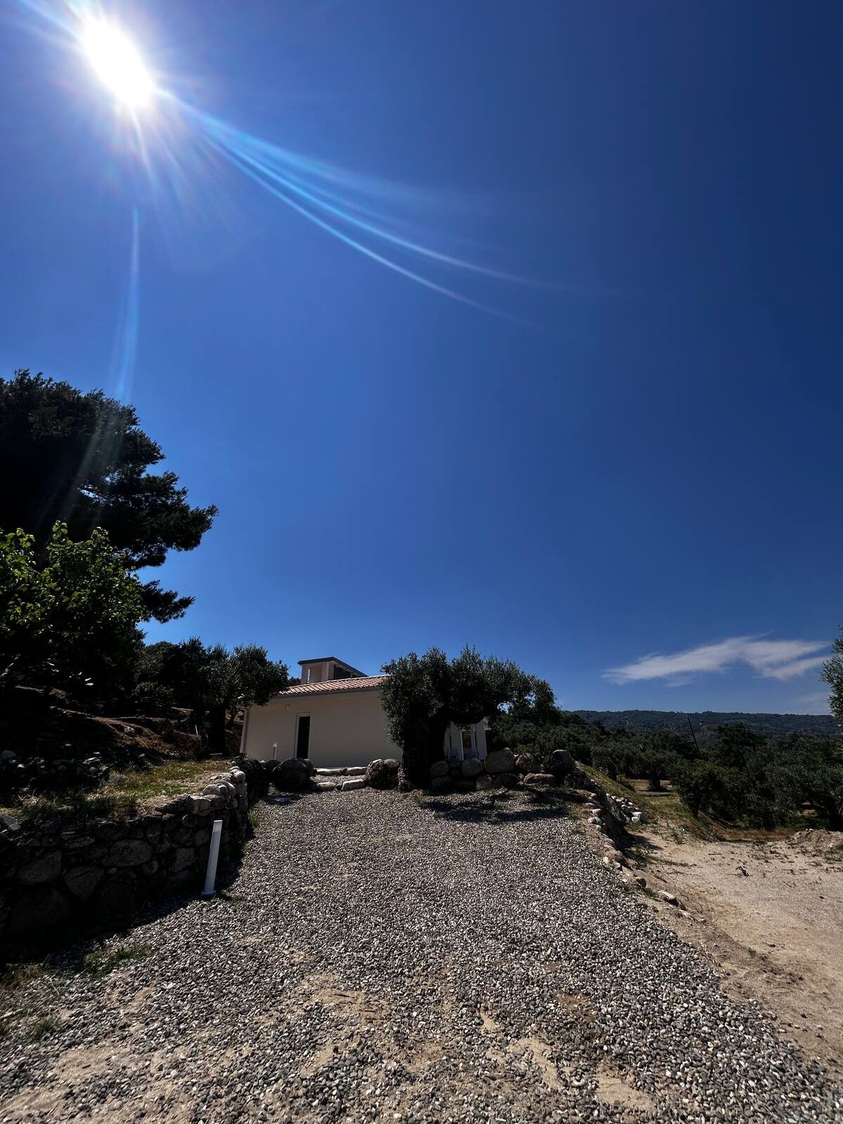 Villa a Santa Caterina dello Ionio con vista a 180 gradi sul golfo di Squillace immersa in un uliveto