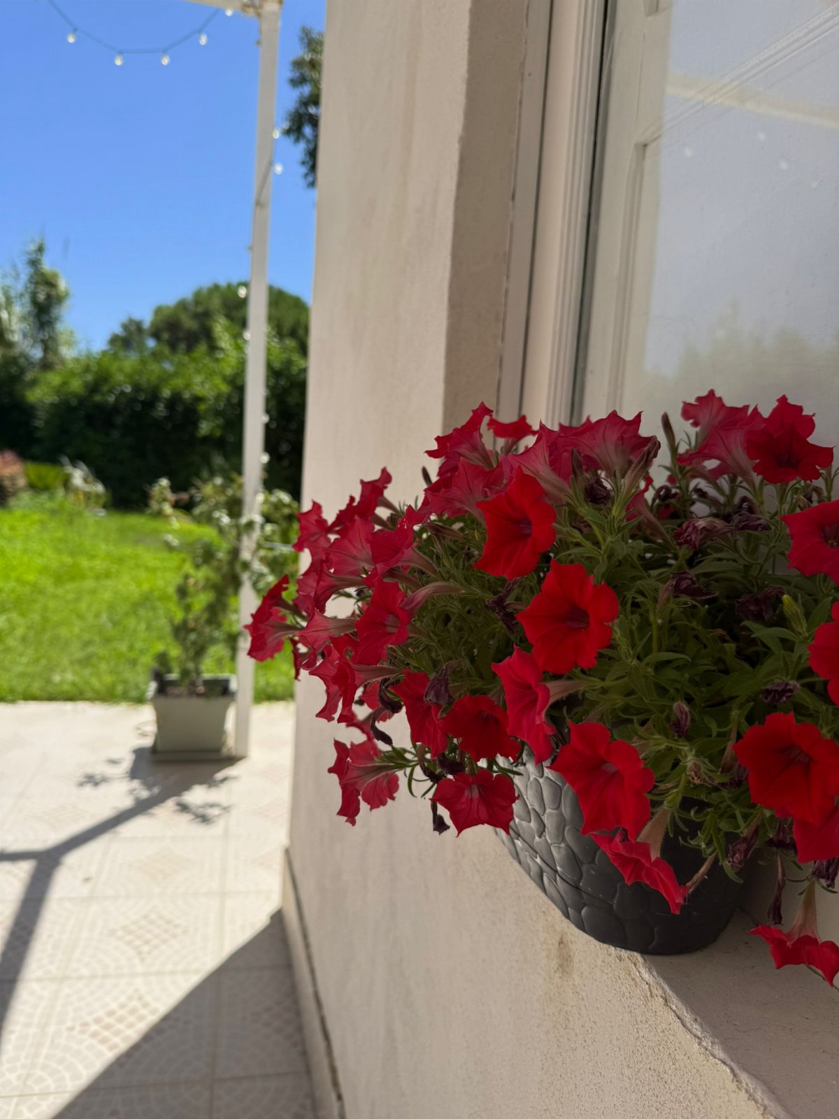 B&B ad un passo dal mare, relax e spiagge incontaminate