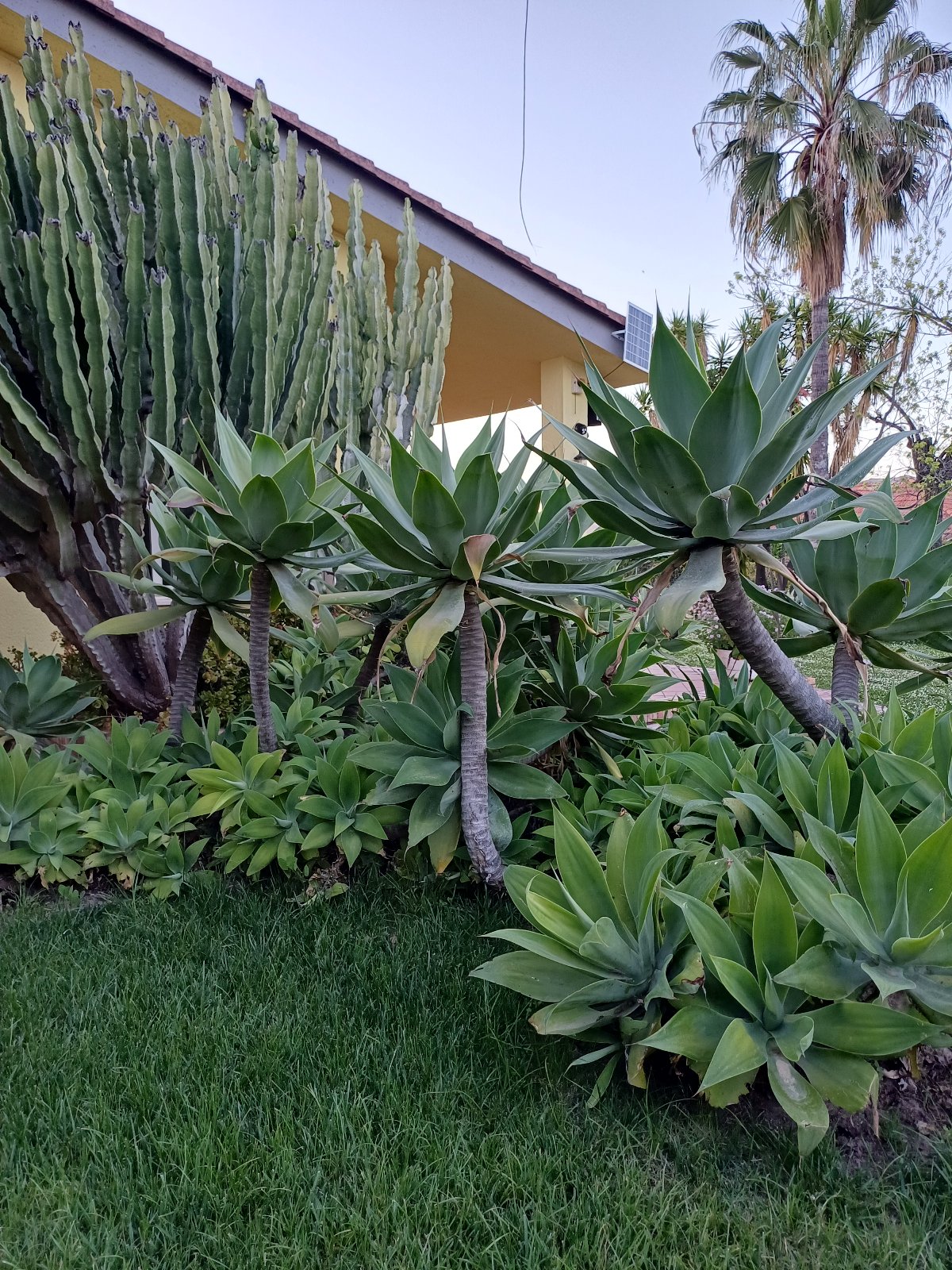 Villa interamente circondata dal giardino