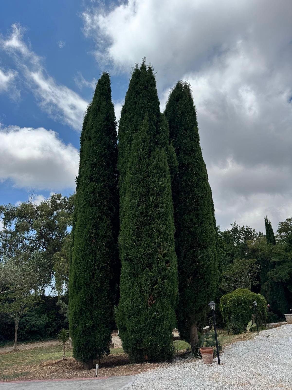 B&B Casa Vacanza Intero alloggio o possibilità di stanze .