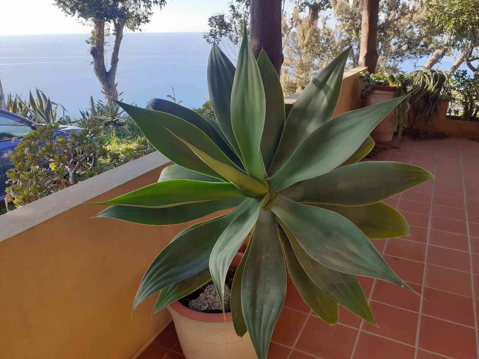 APPARTAMENTO CON GIARDINO PANORAMA MARE MOZZAFIATO