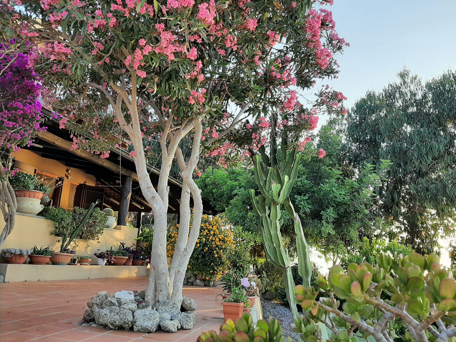 APPARTAMENTO CON GIARDINO PANORAMA MARE MOZZAFIATO