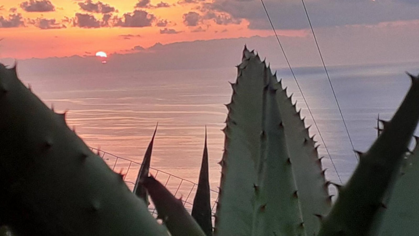 APPARTAMENTO CON GIARDINO PANORAMA MARE MOZZAFIATO
