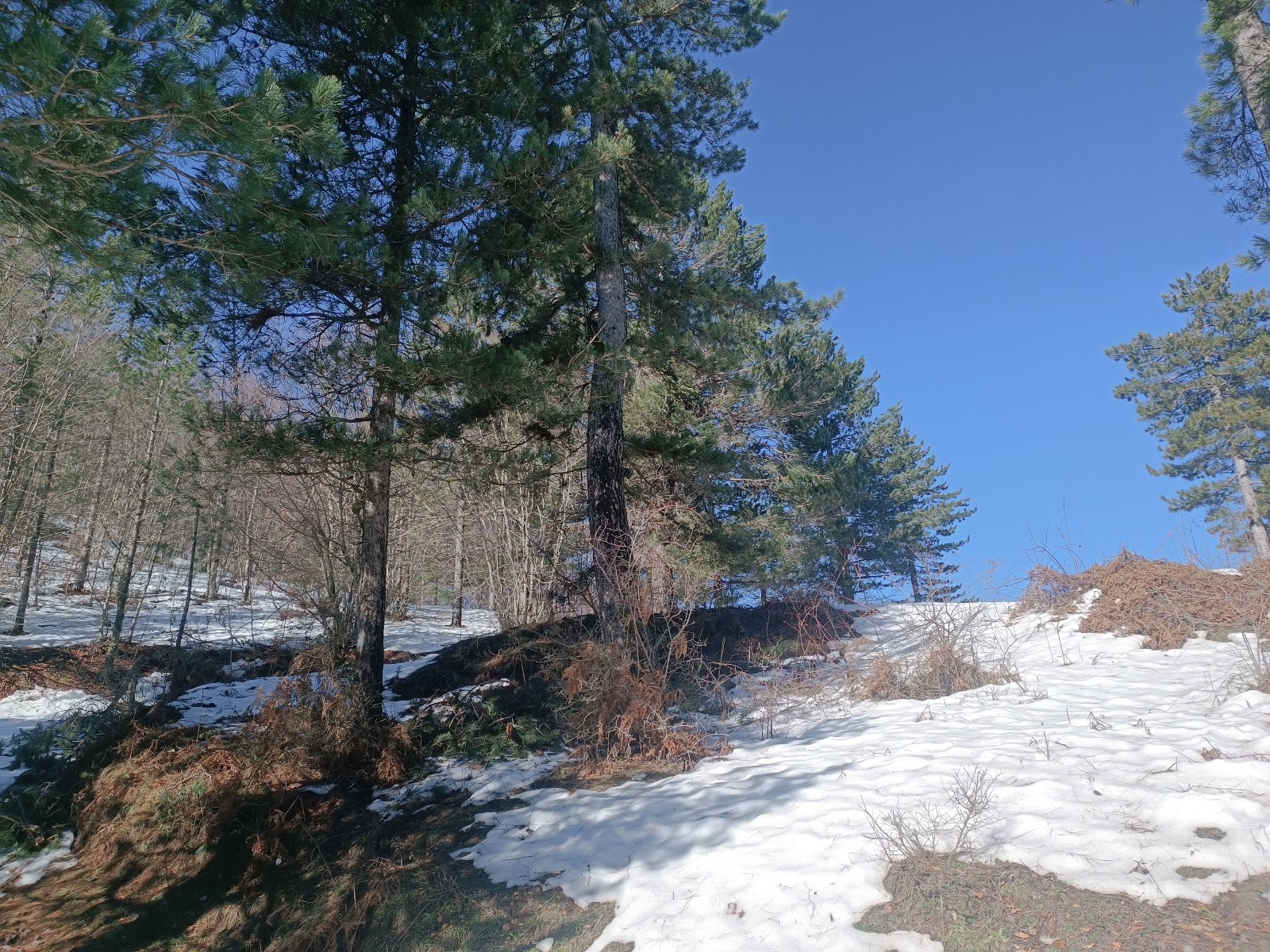 Pungitopo, un chaleureux appartement à la montagne