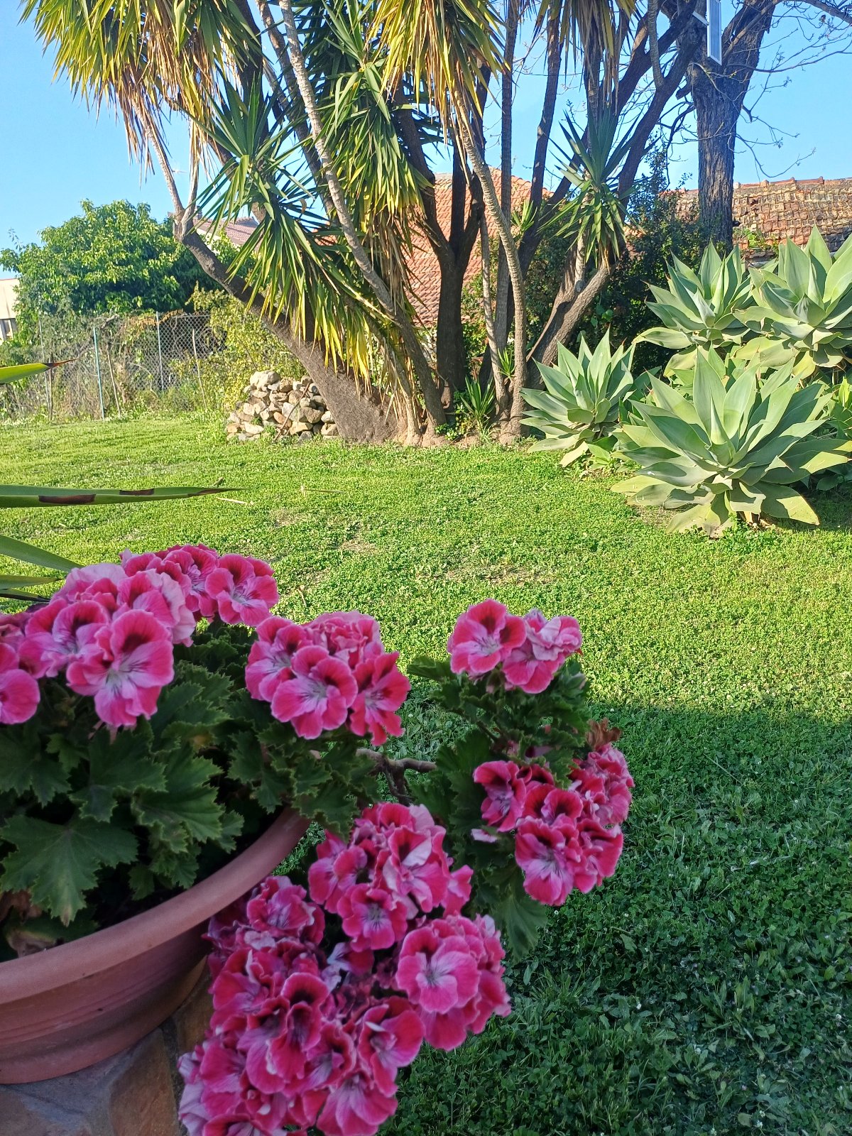 Villa interamente circondata dal giardino
