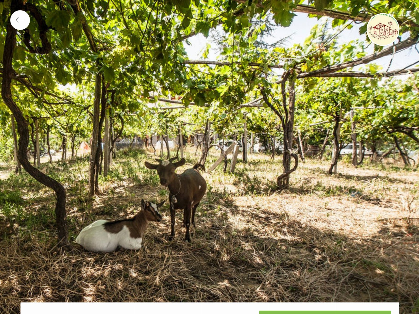 Agriturismo Miracco Atanasio Franco "Il Maniero"