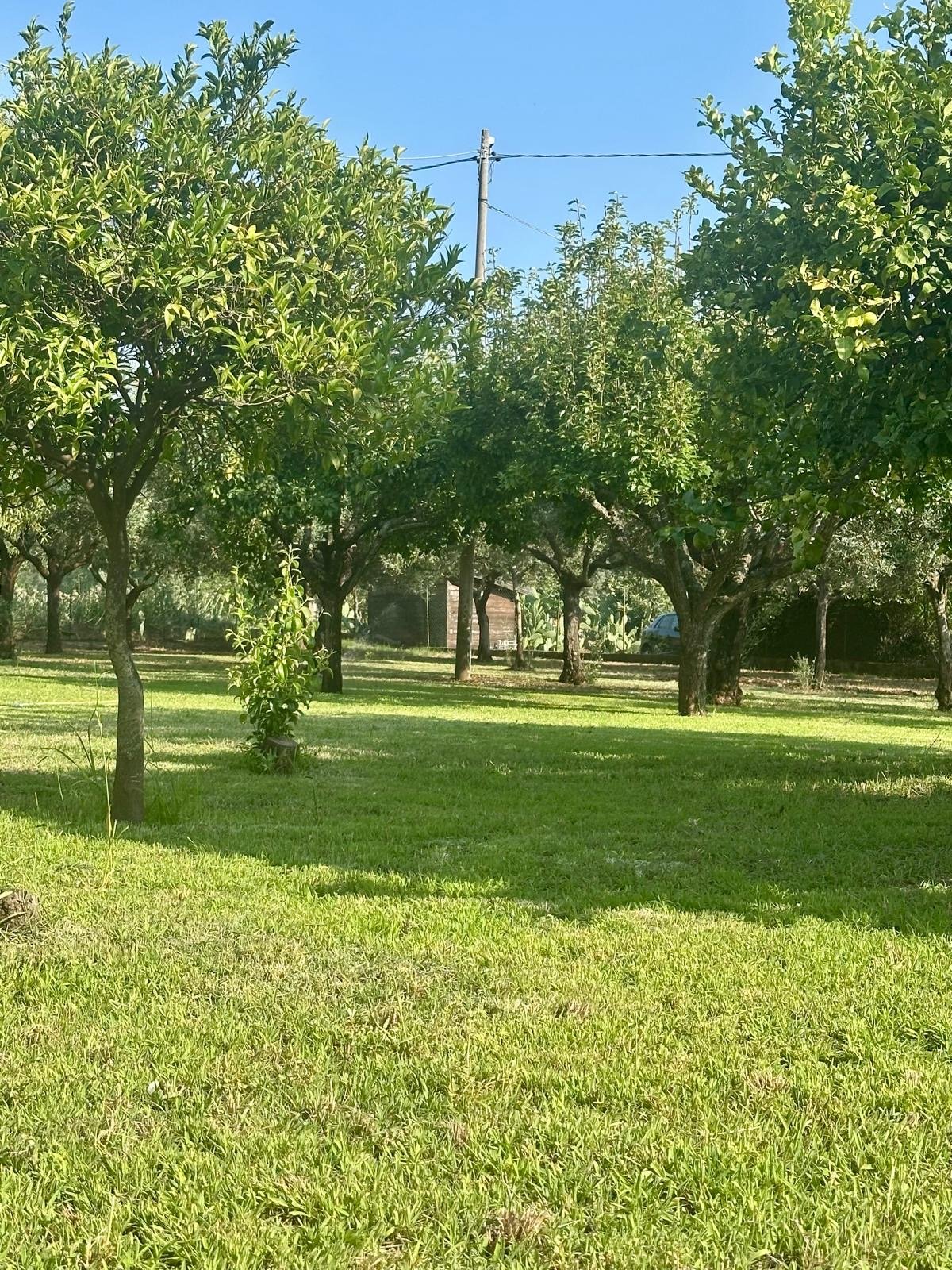 Appartamento Capo Vaticano- Tropea
