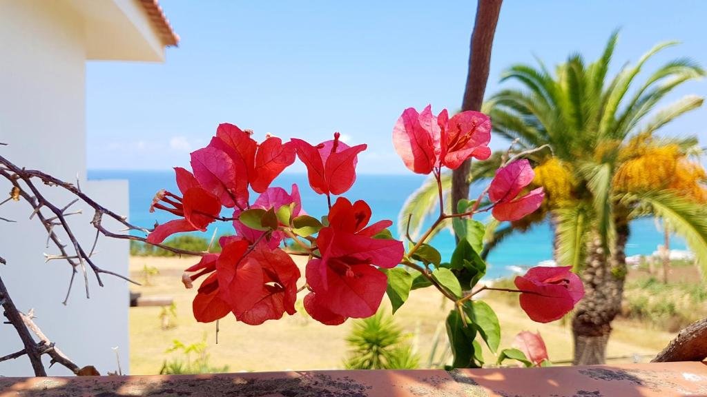 Appartamento Bilocale 2 posti con cucina e vista mare. Spiaggia privata. Sunset Yoga.