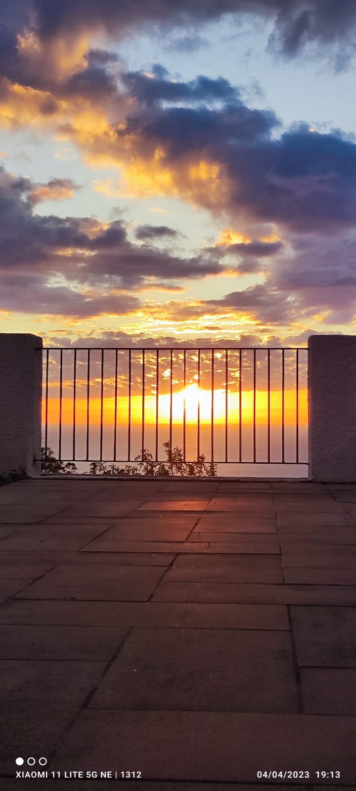 Le rose del tirreno