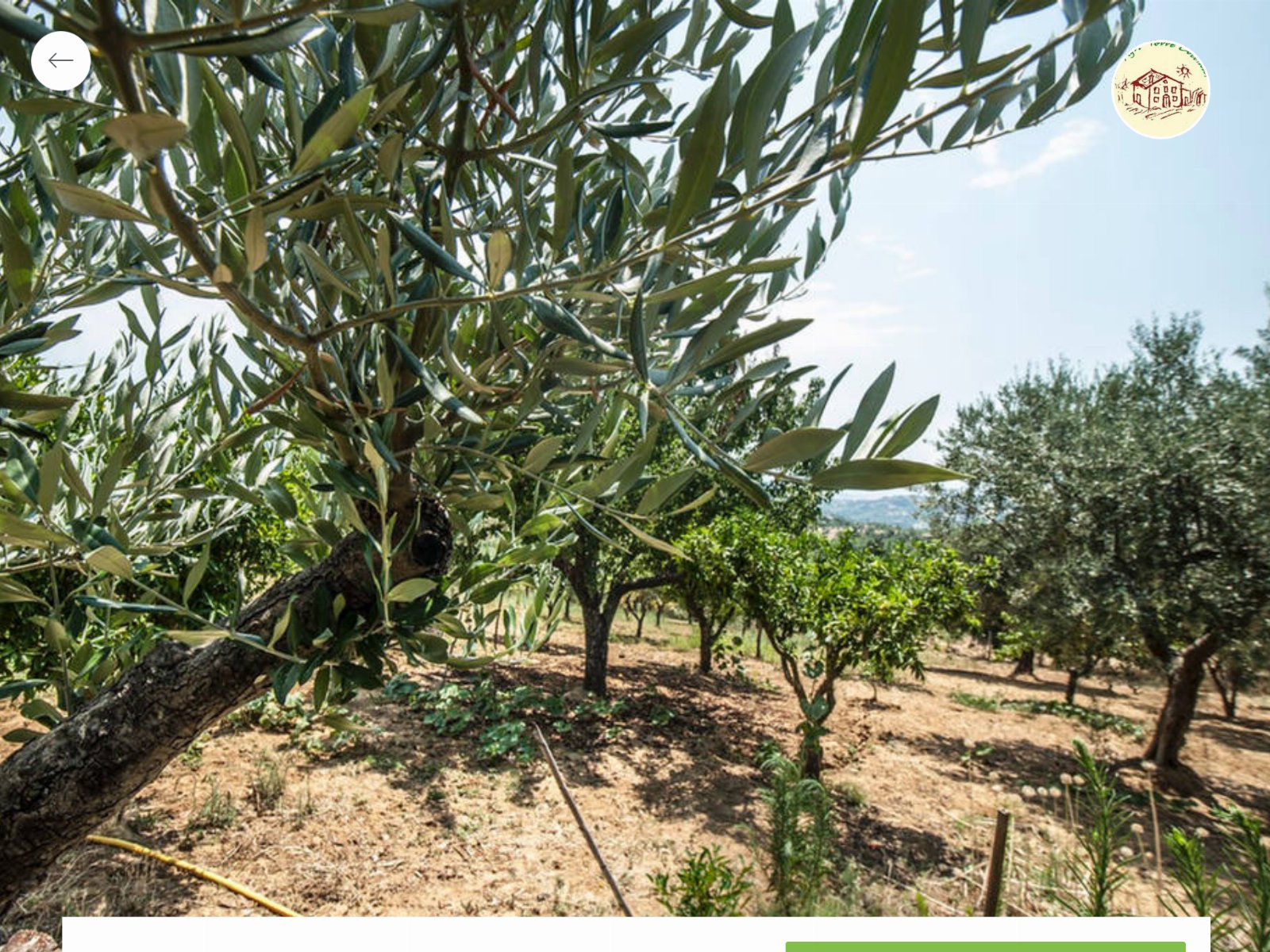 Agriturismo Miracco Atanasio Franco "Il Maniero"