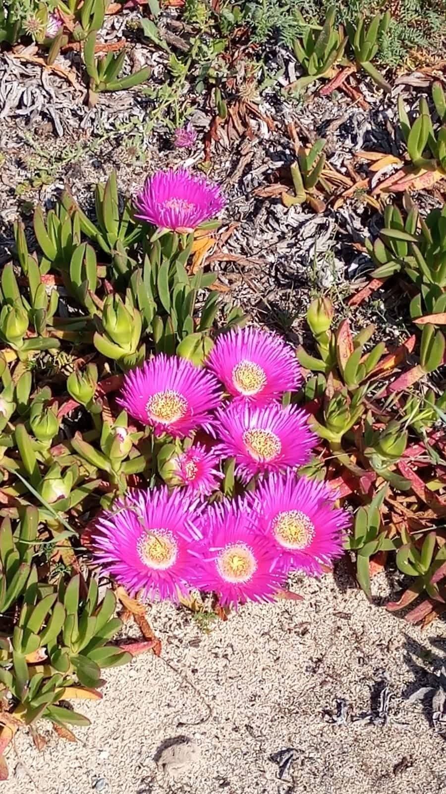 appartamento-al-mare