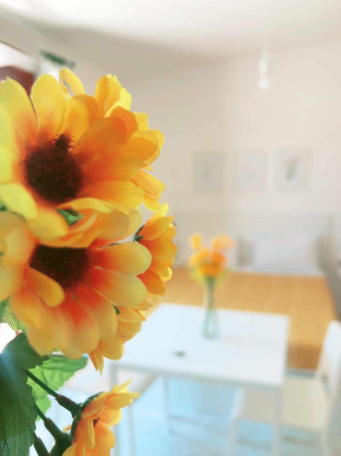 Daisy - Stars Home Tropea