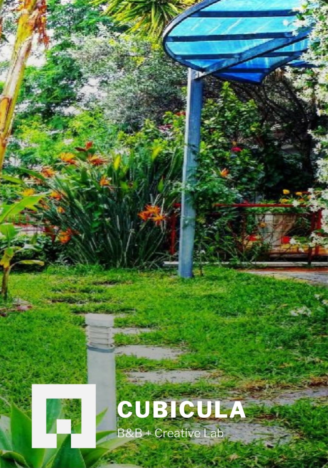 Cubicula b&b