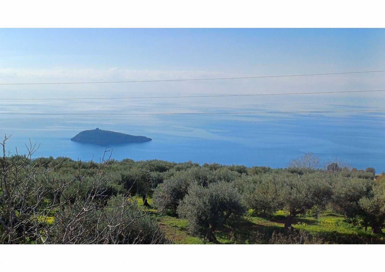 Agriturismo Montesalerno