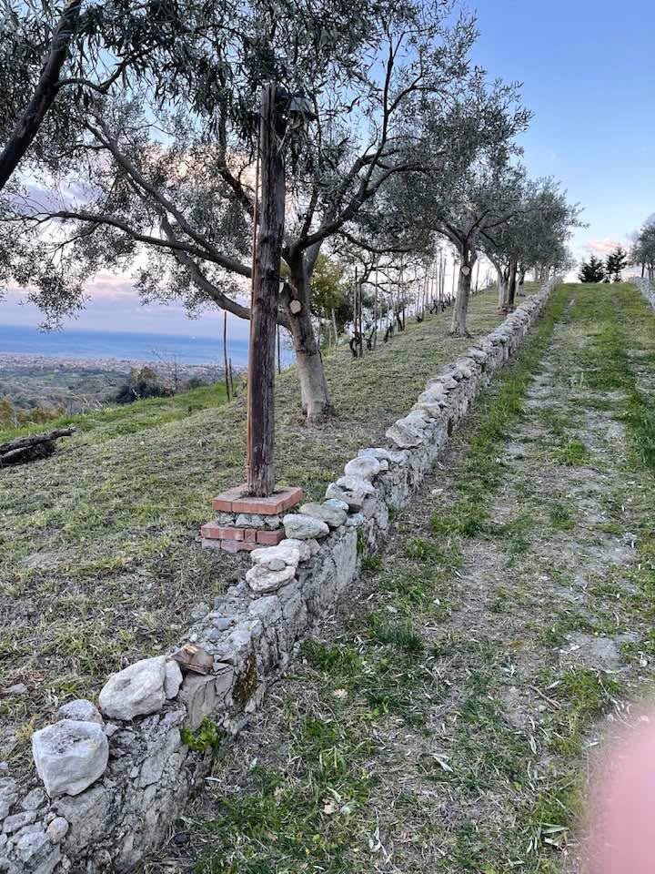 Villa con podere in collina a Siderno Superiore, tra mare, natura e relax