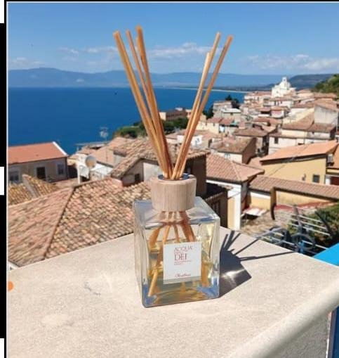 Lo Studiolo Apartment